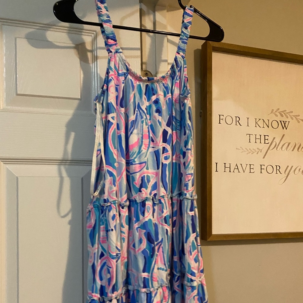 Lilly Pulitzer Loro Swing Dress